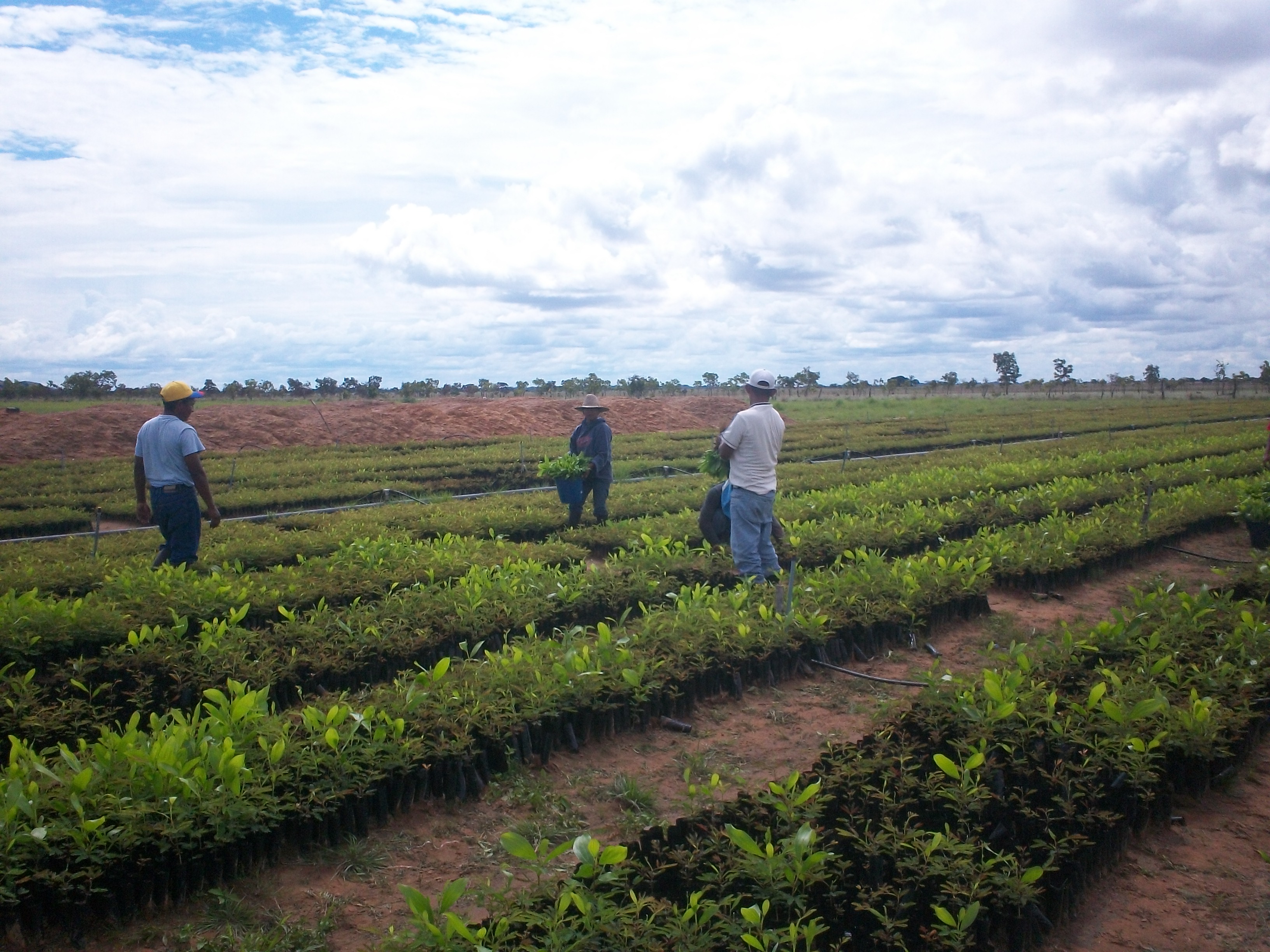 Holistic City Software provides conceptual planning technology for South American Eco City